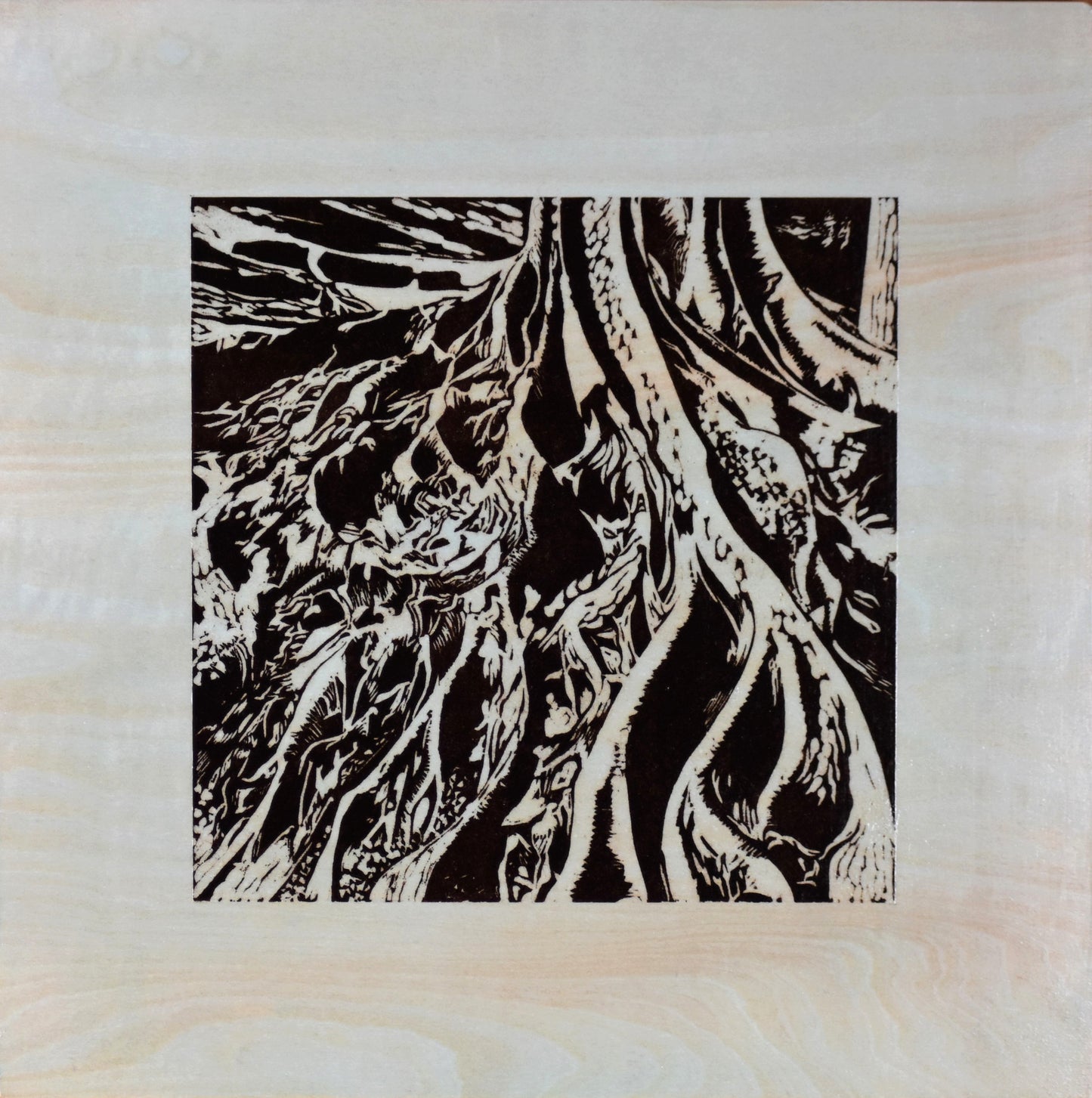 Roots