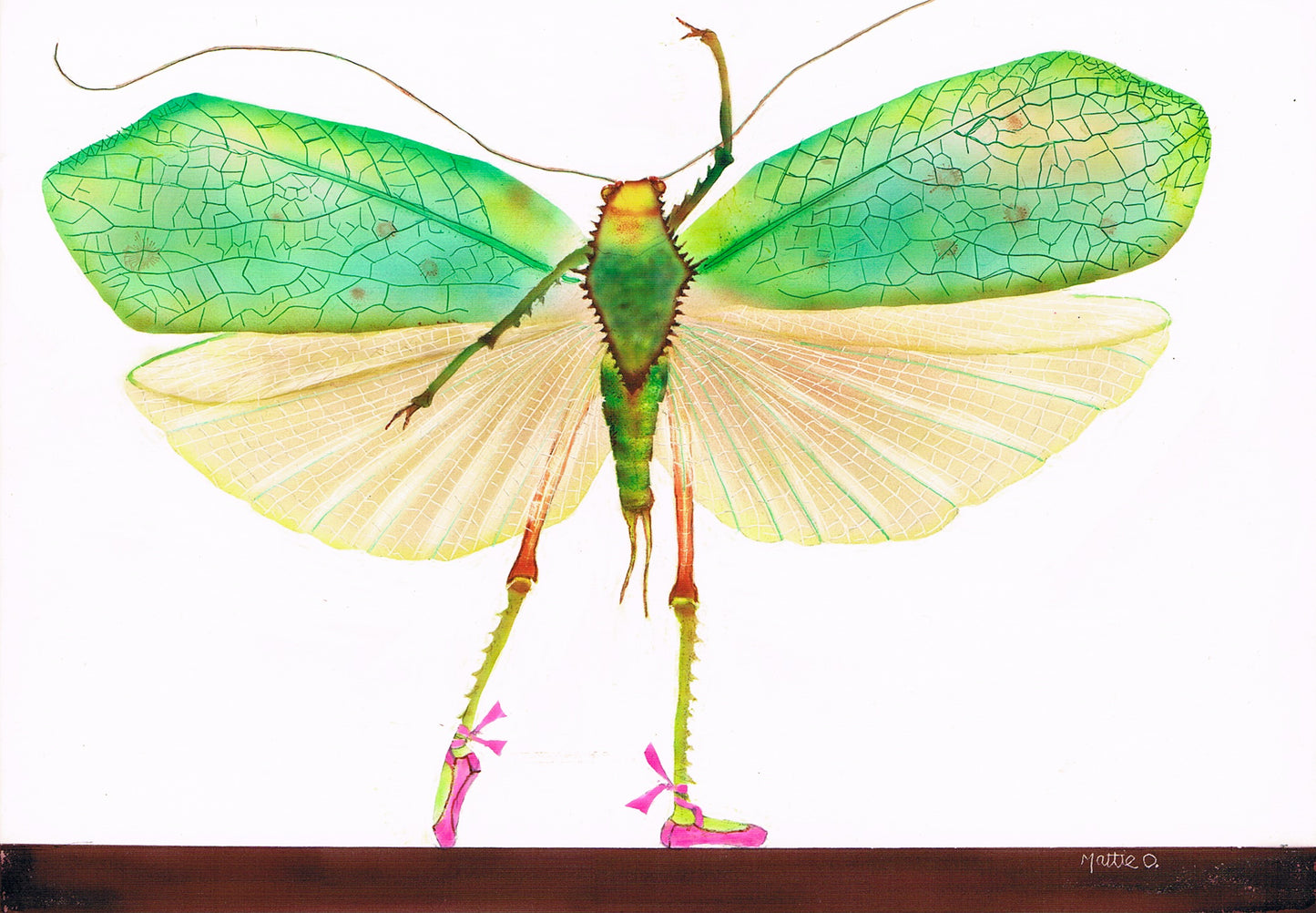 Greeting Note Cards - Dancing Bug - Variety