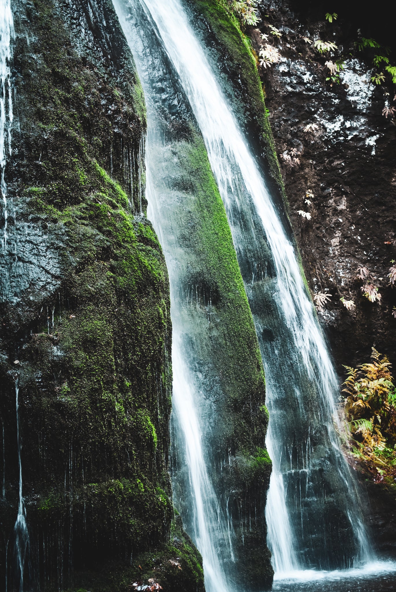 Guardians of the Cascade
