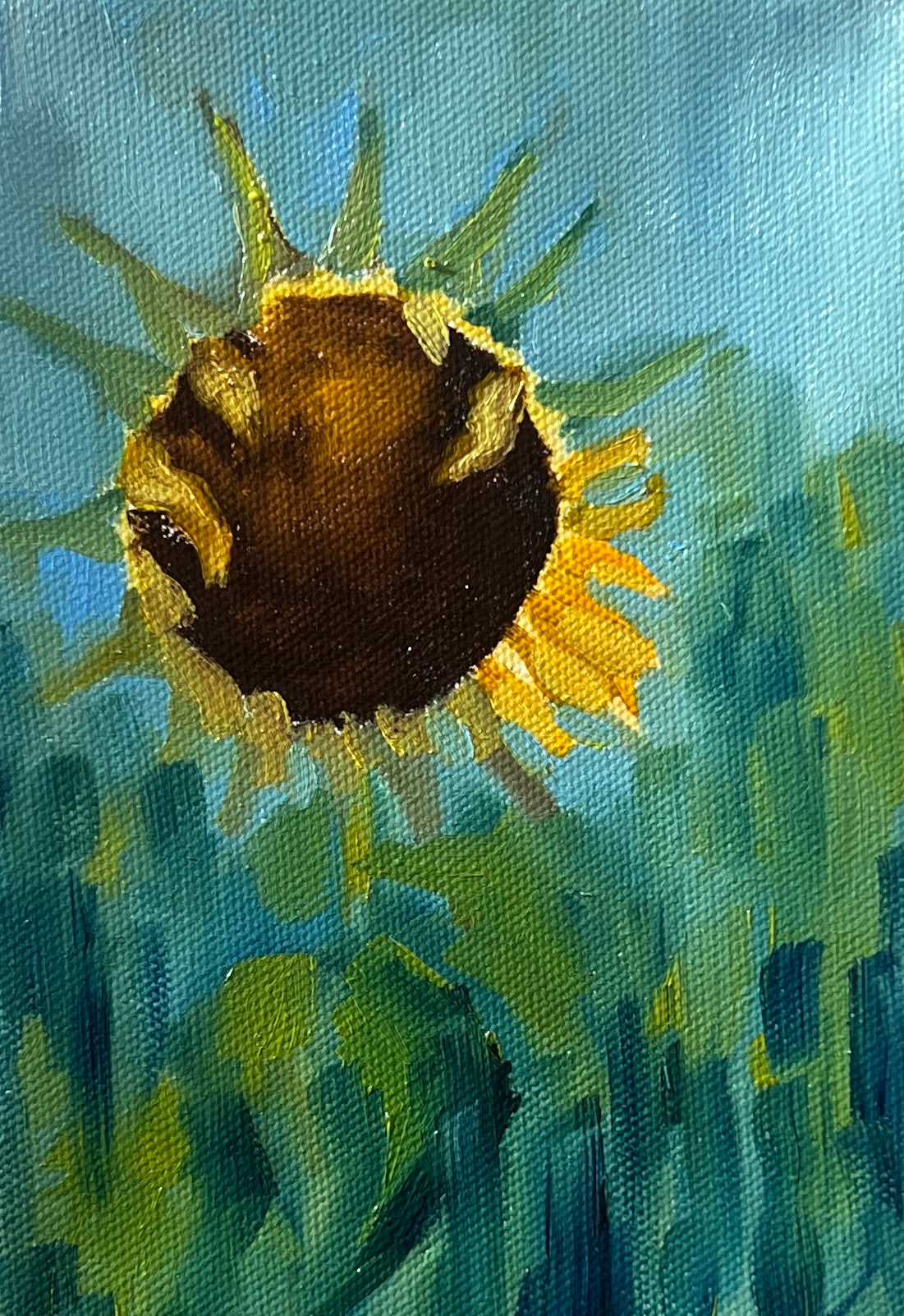 Sunflower 2
