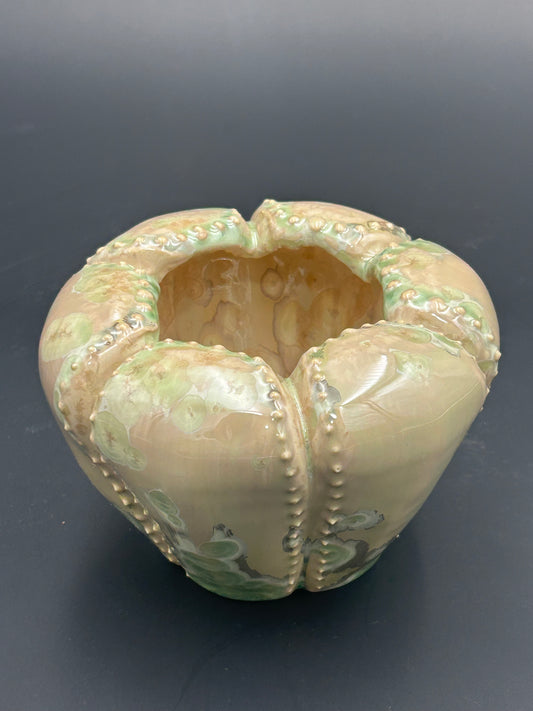 Pale Green Organic Pod