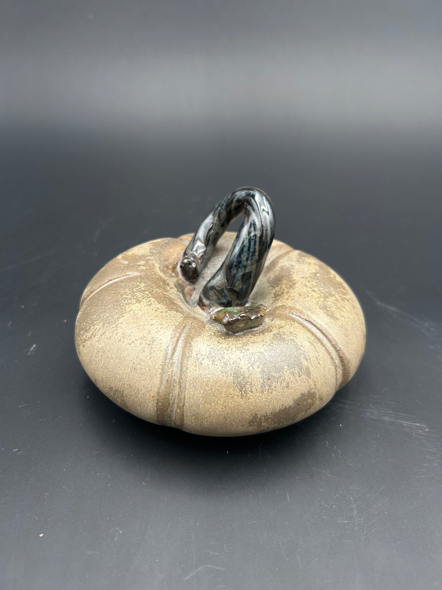 Small Leathery Pumpkin