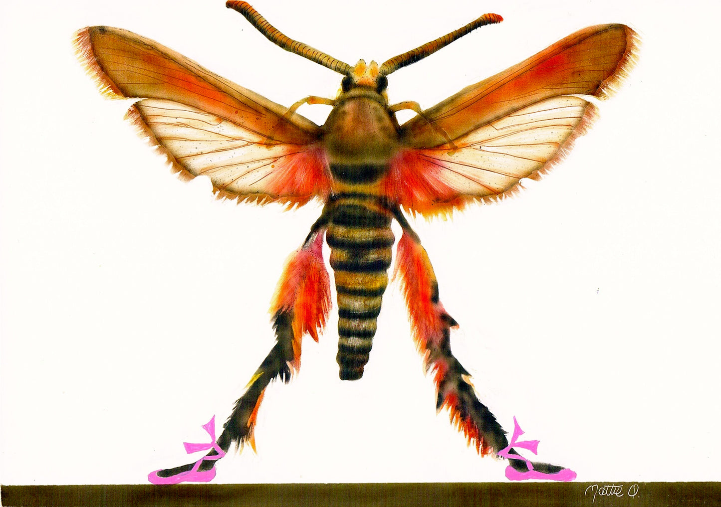 Greeting Note Cards - Dancing Bug - Variety