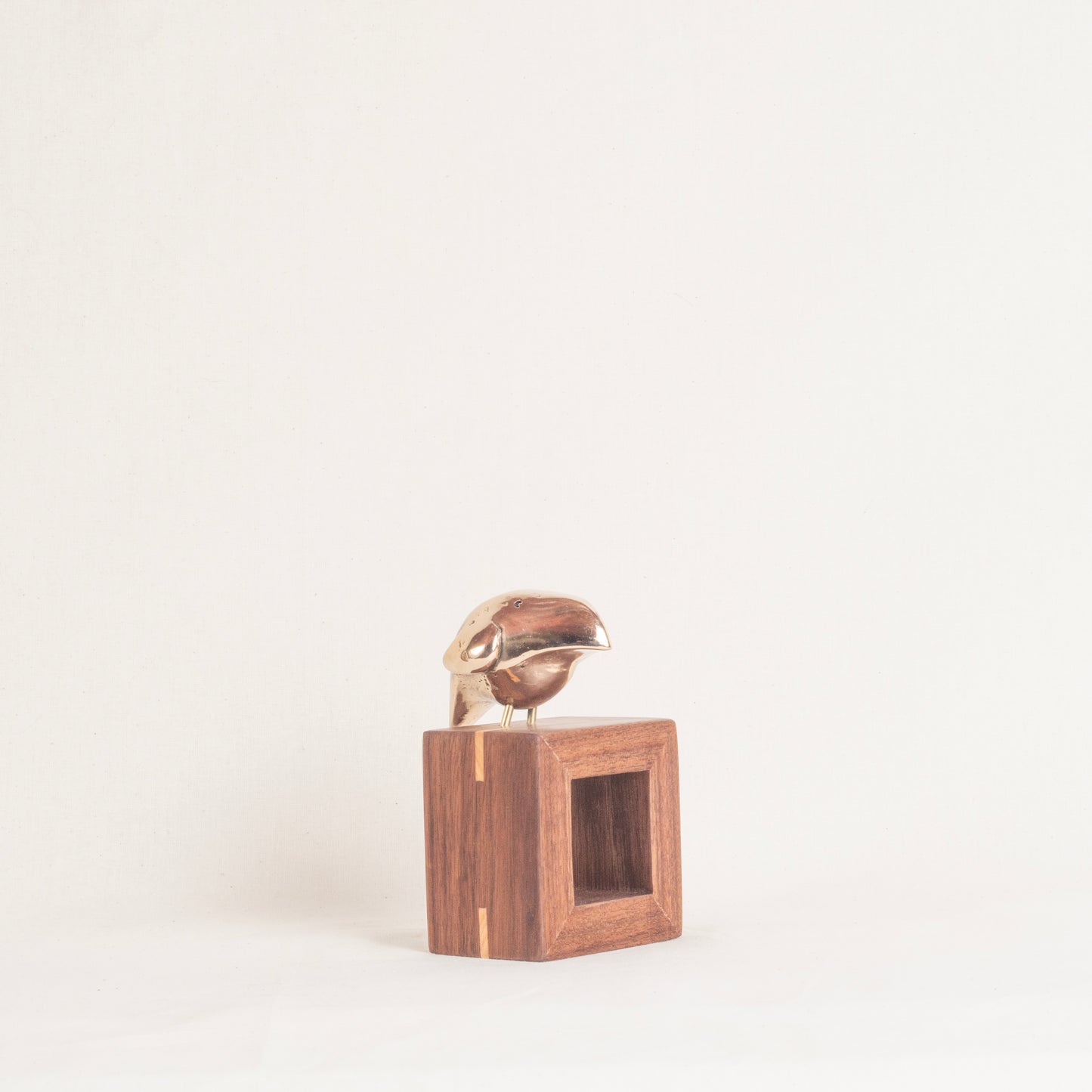 Polly 3/15