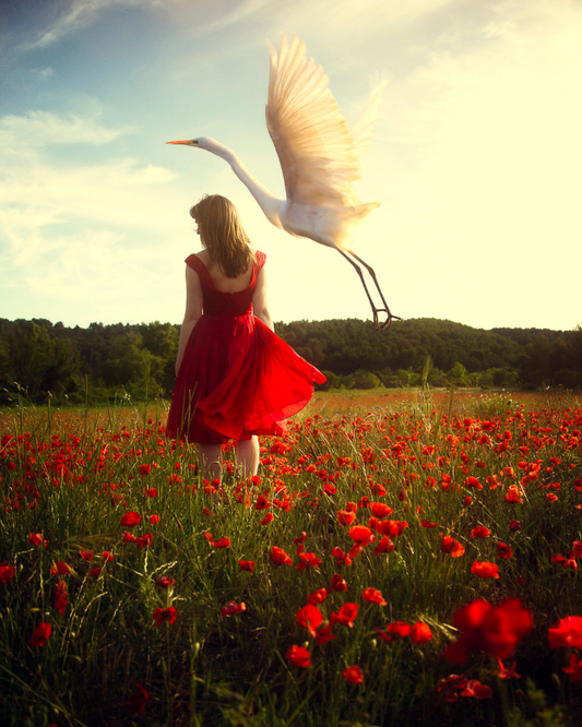 A Whisper of Feather & Sky