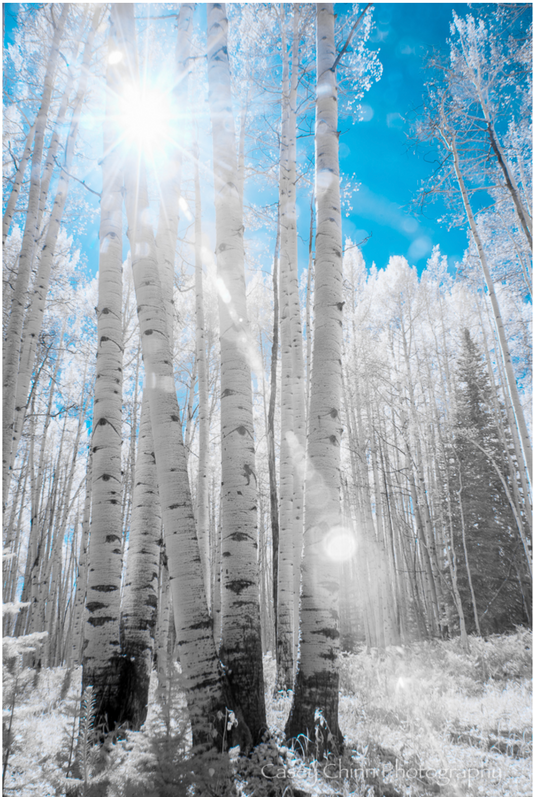 Radiance