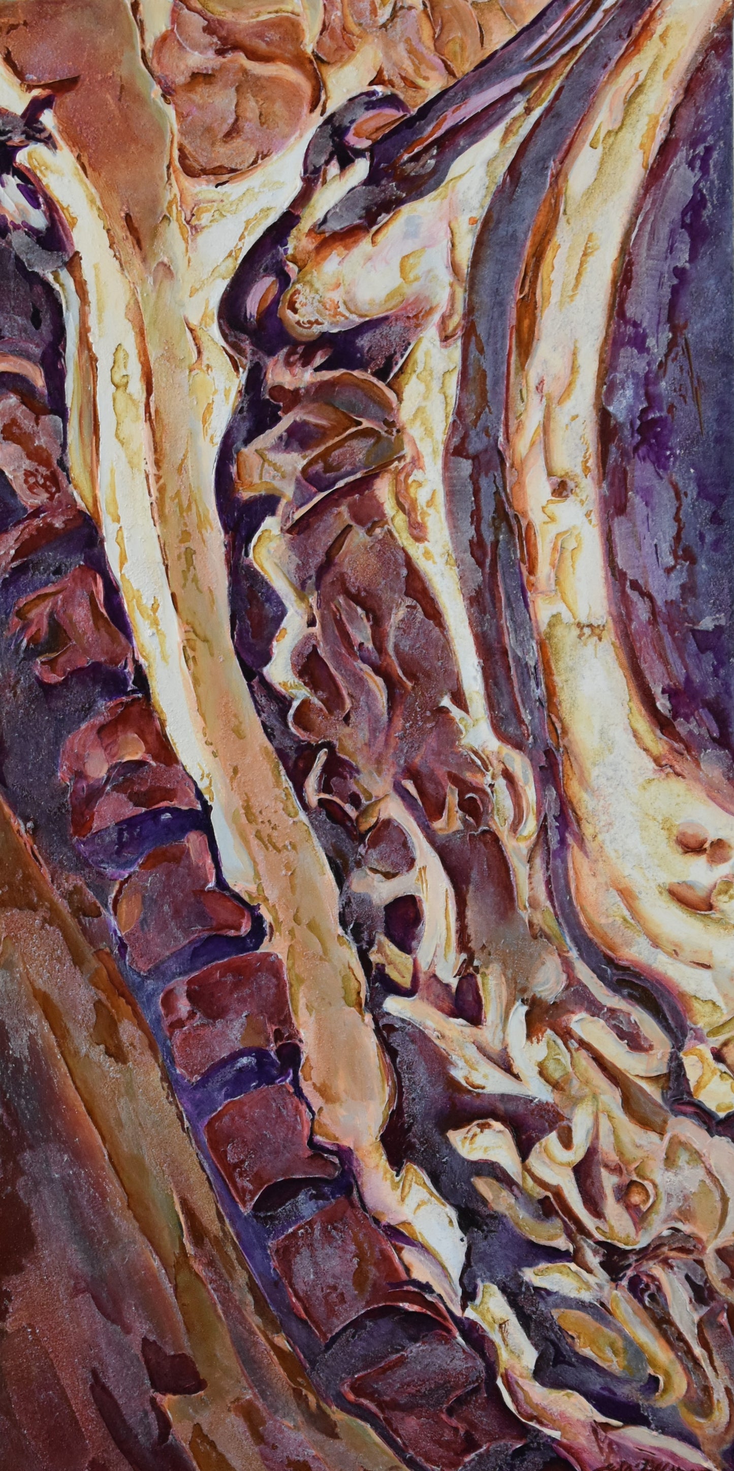 Spine I