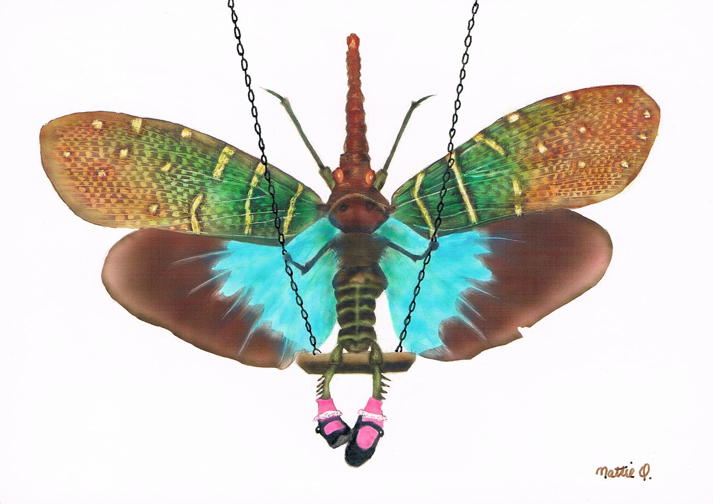 Greeting Note Cards - Dancing Bug - Variety