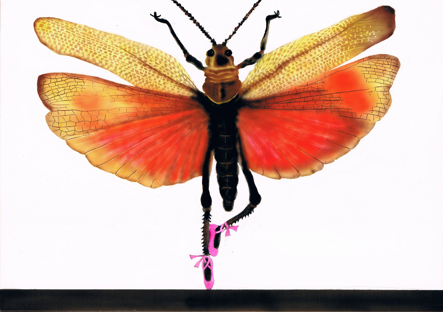 Greeting Note Cards - Dancing Bug - Variety