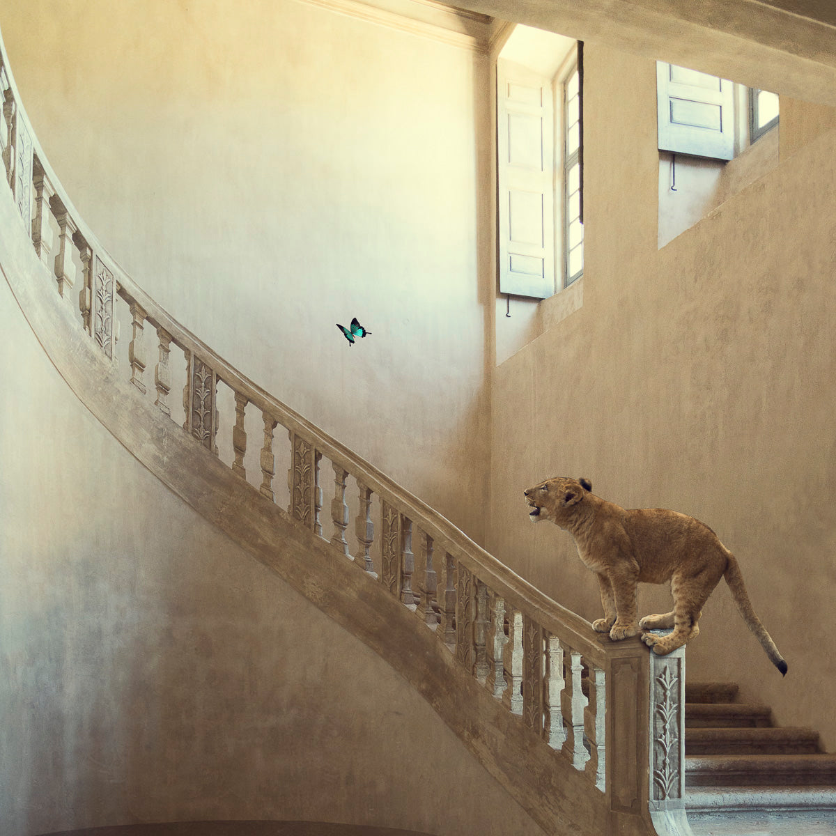 The Lion & The Butterfly