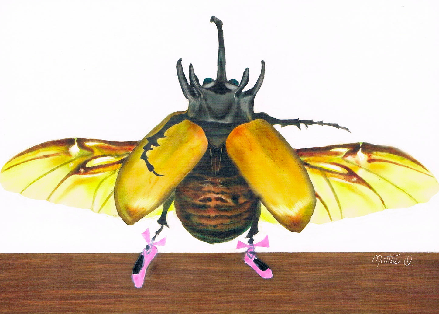 Greeting Note Cards - Dancing Bug - Variety