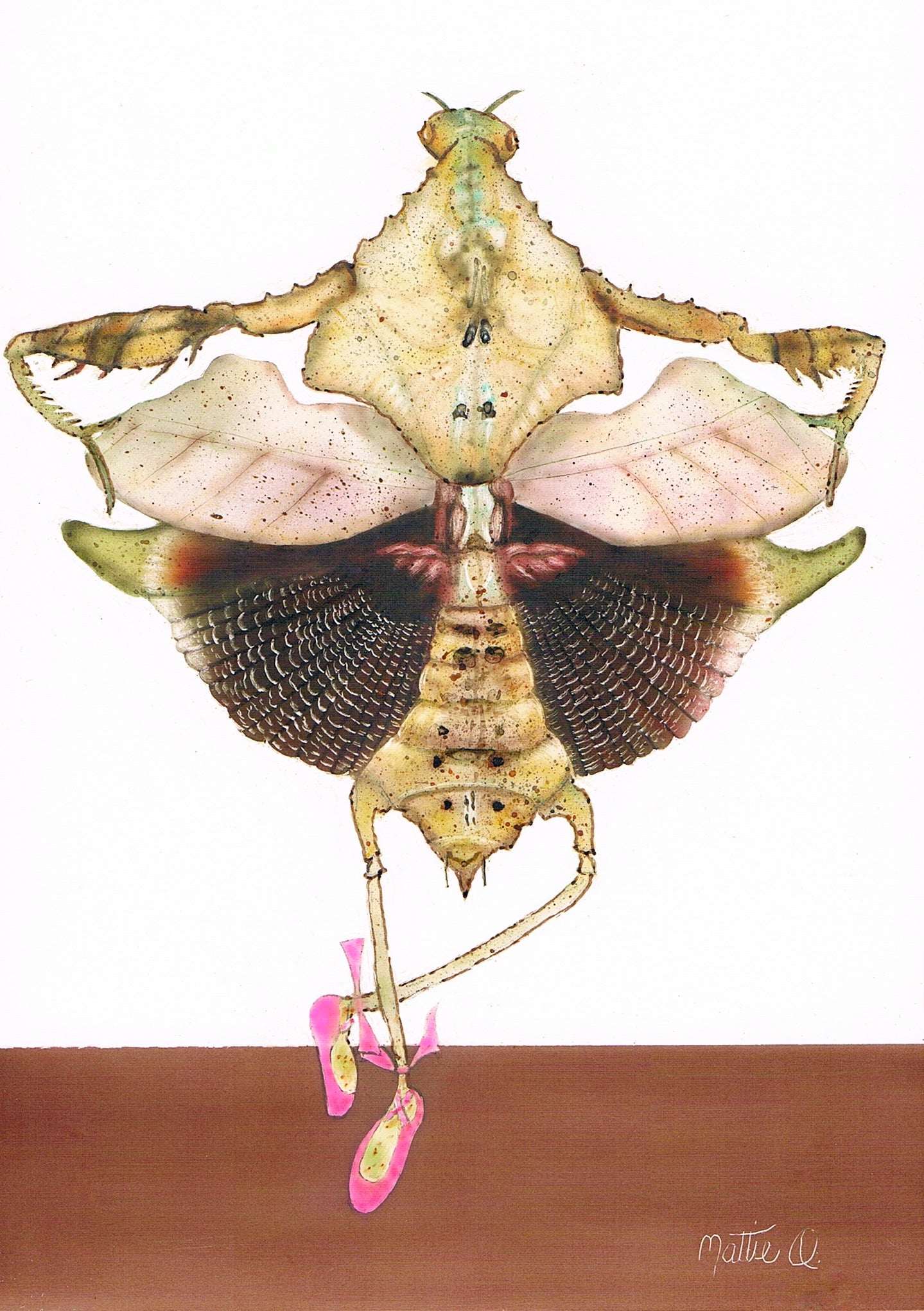 Greeting Note Cards - Dancing Bug - Variety