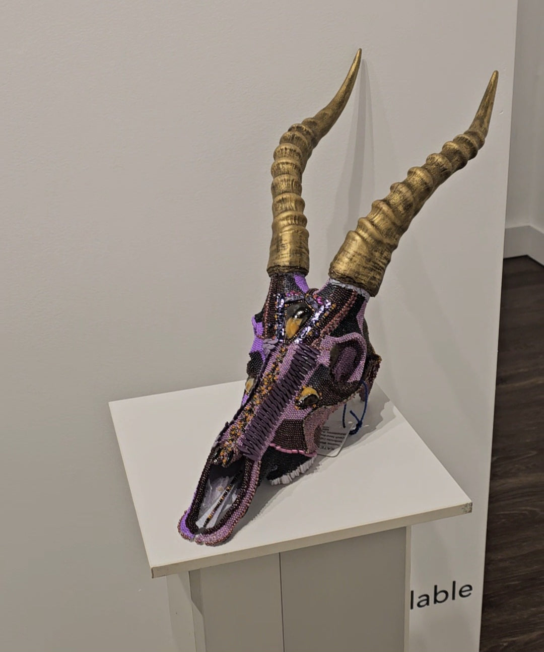 Large skull for Jim
