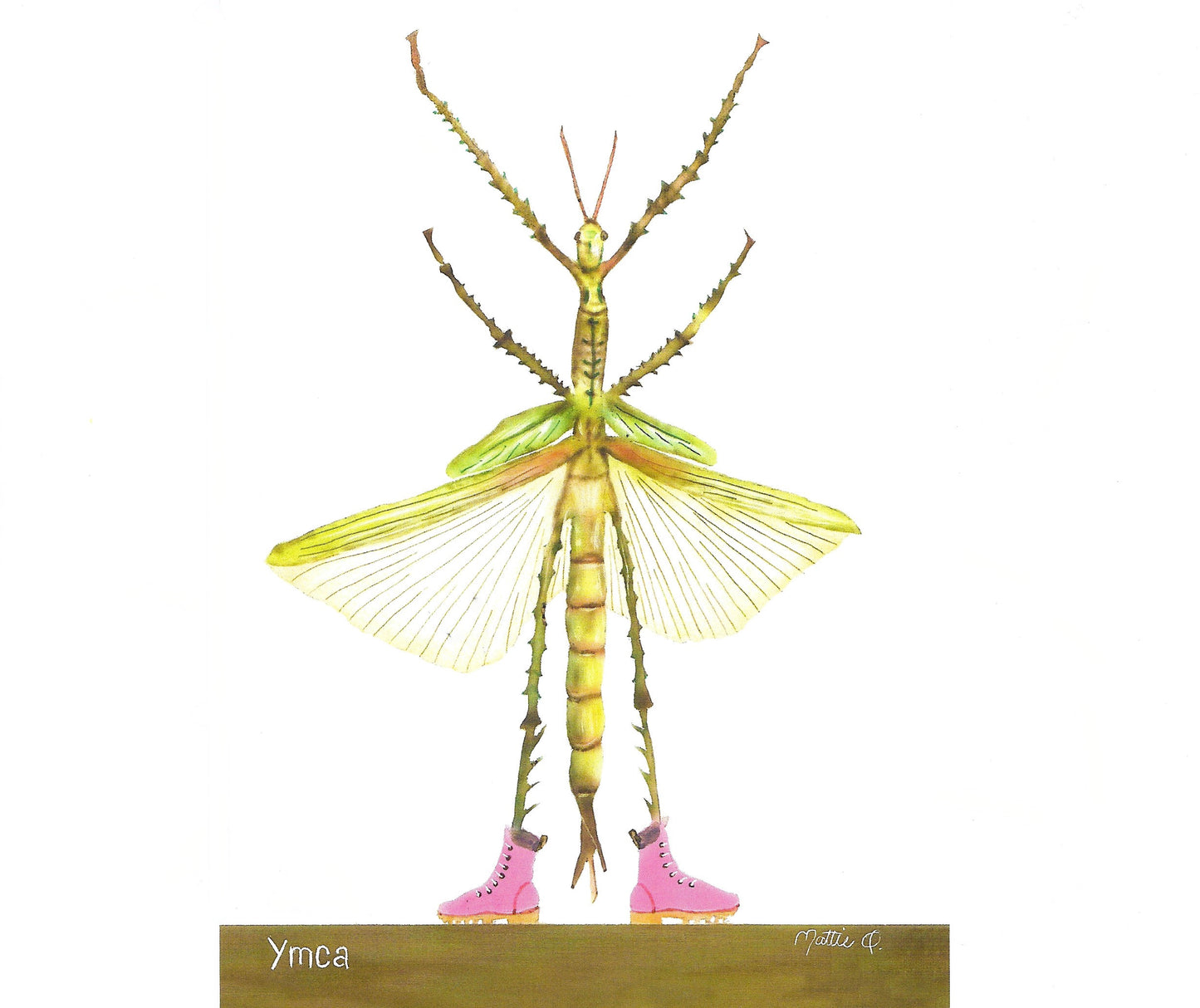 Greeting Note Cards - Dancing Bug - Variety