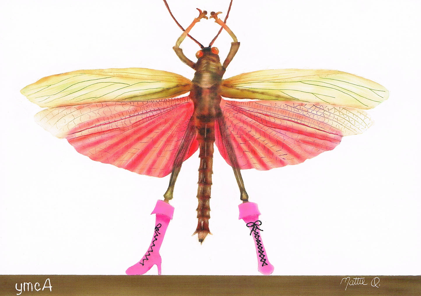 Greeting Note Cards - Dancing Bug - Variety