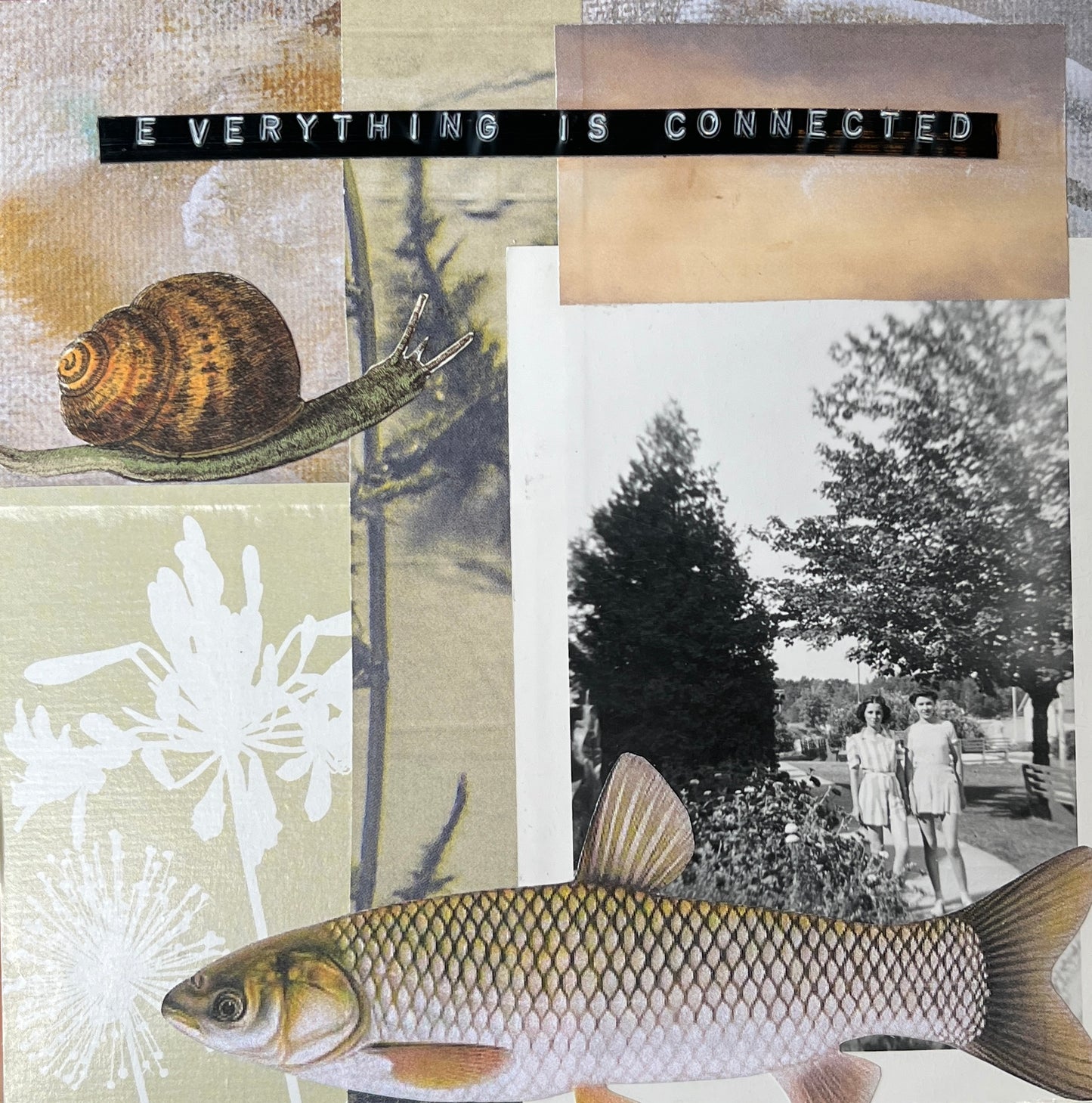 Everything is Connected