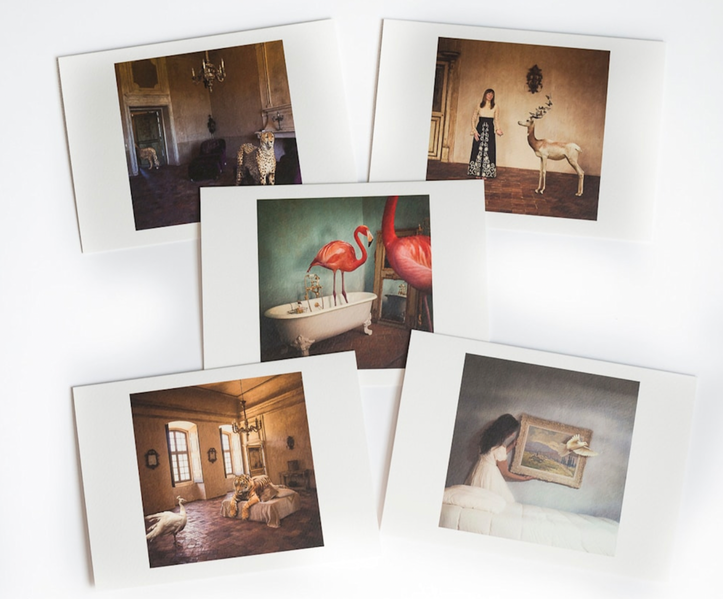 Greeting Cards