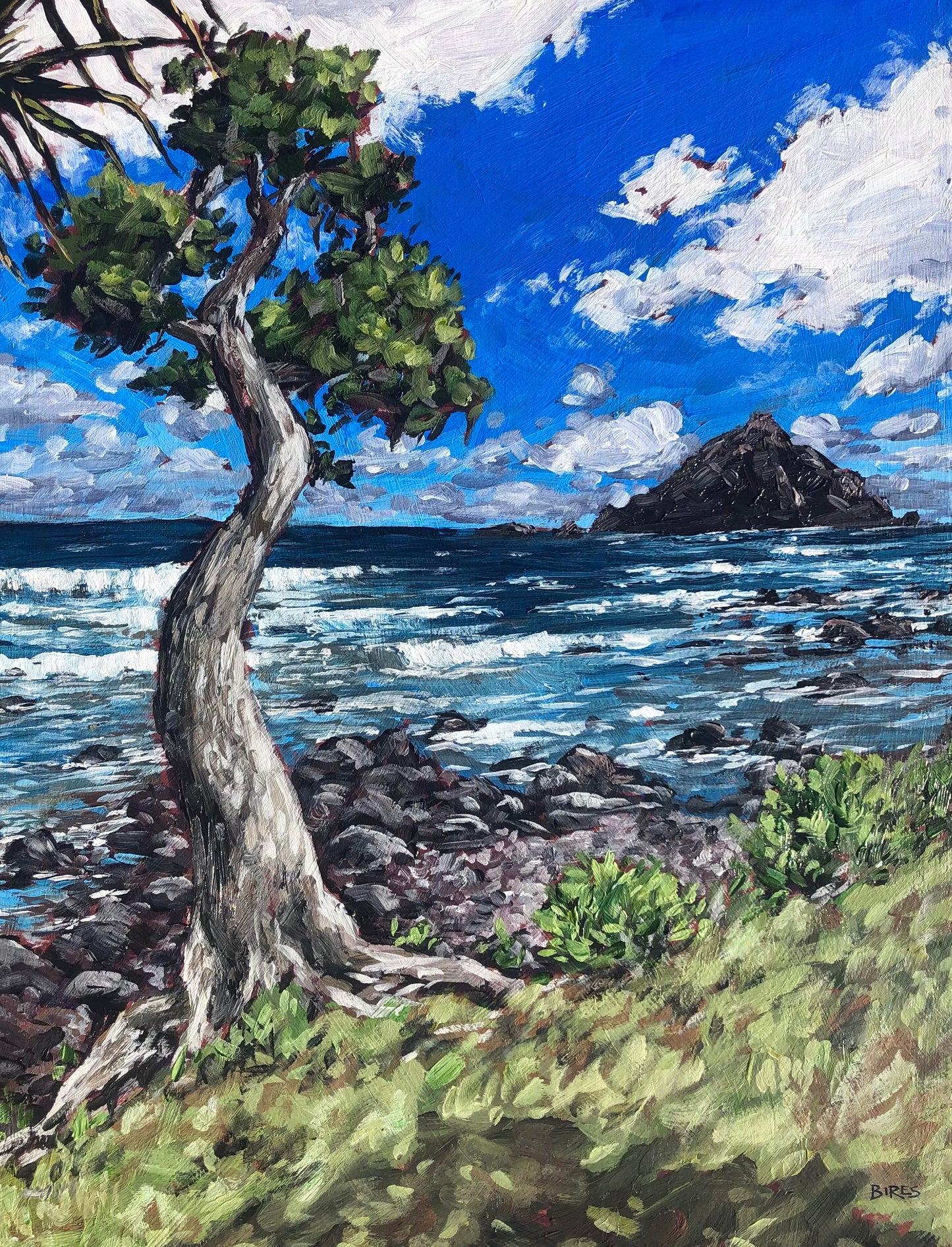 Huli Huli
