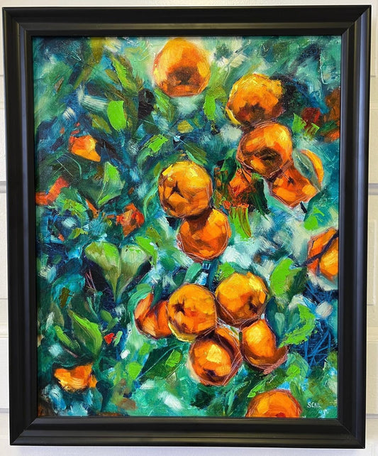 Citrus Grove 2
