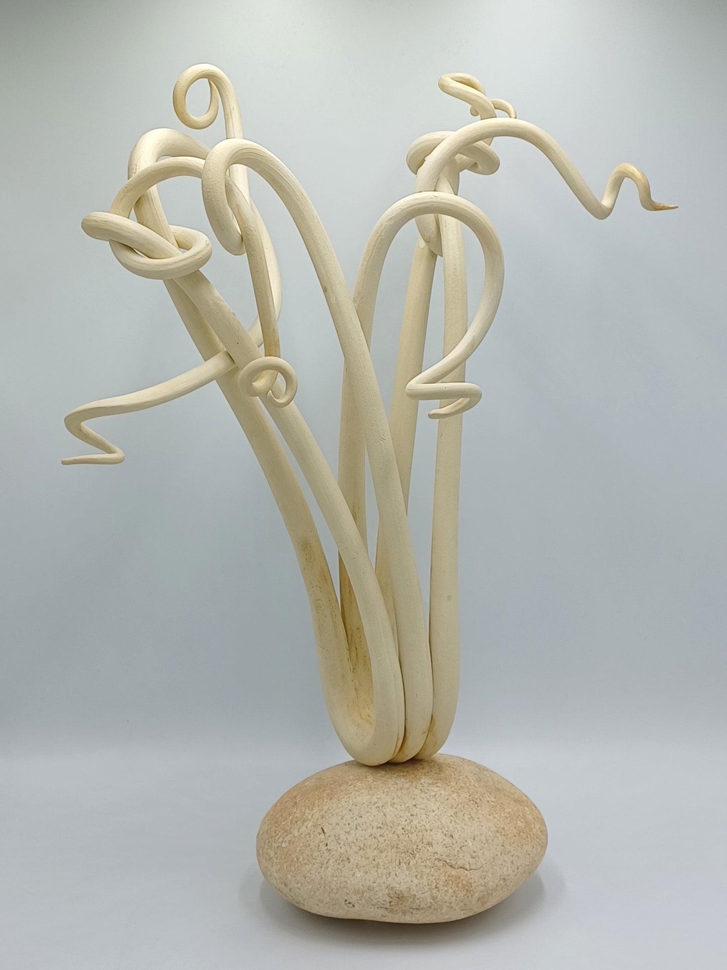 3 Beige Tendrils on Rock