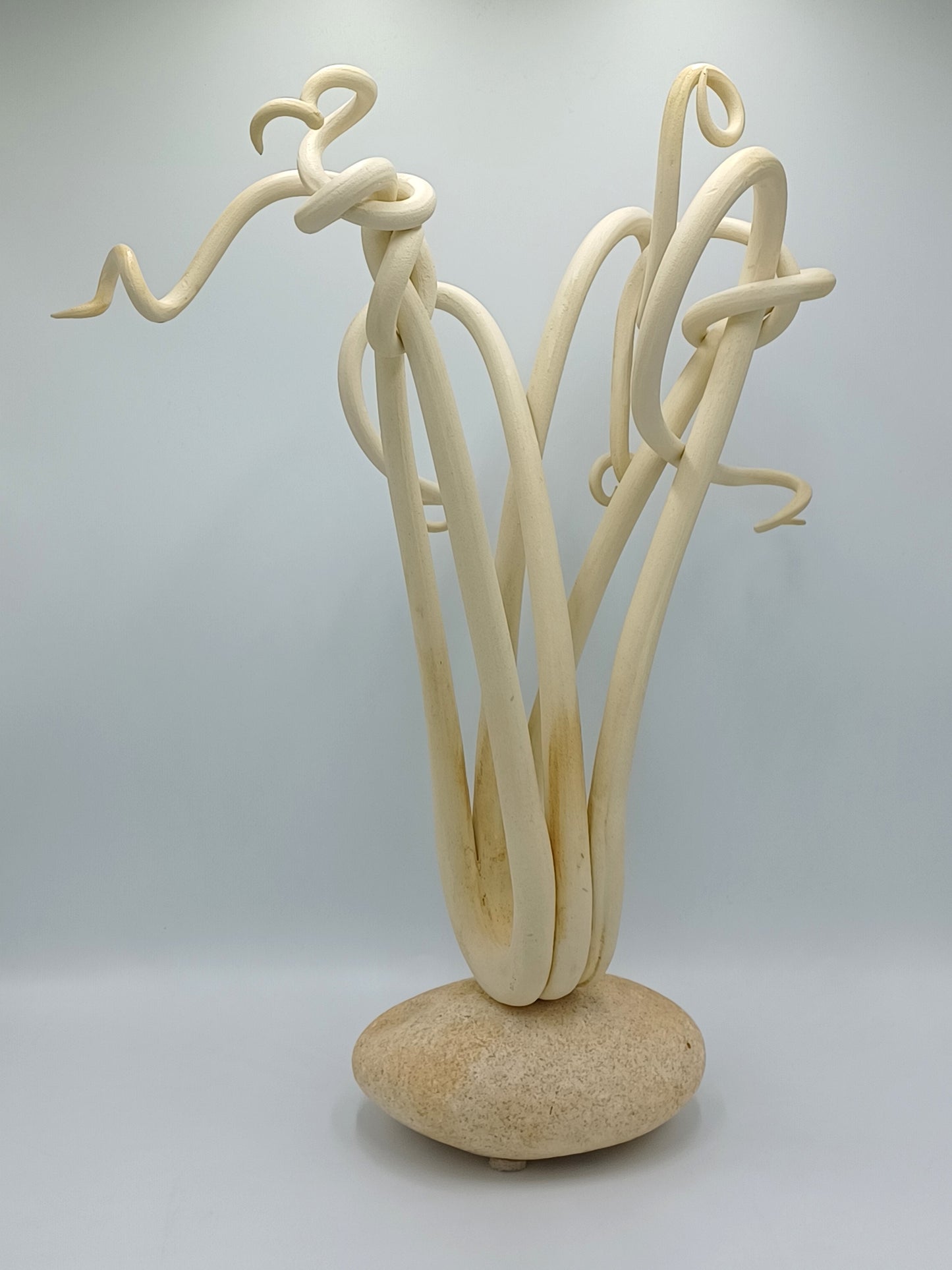 3 Beige Tendrils on Rock