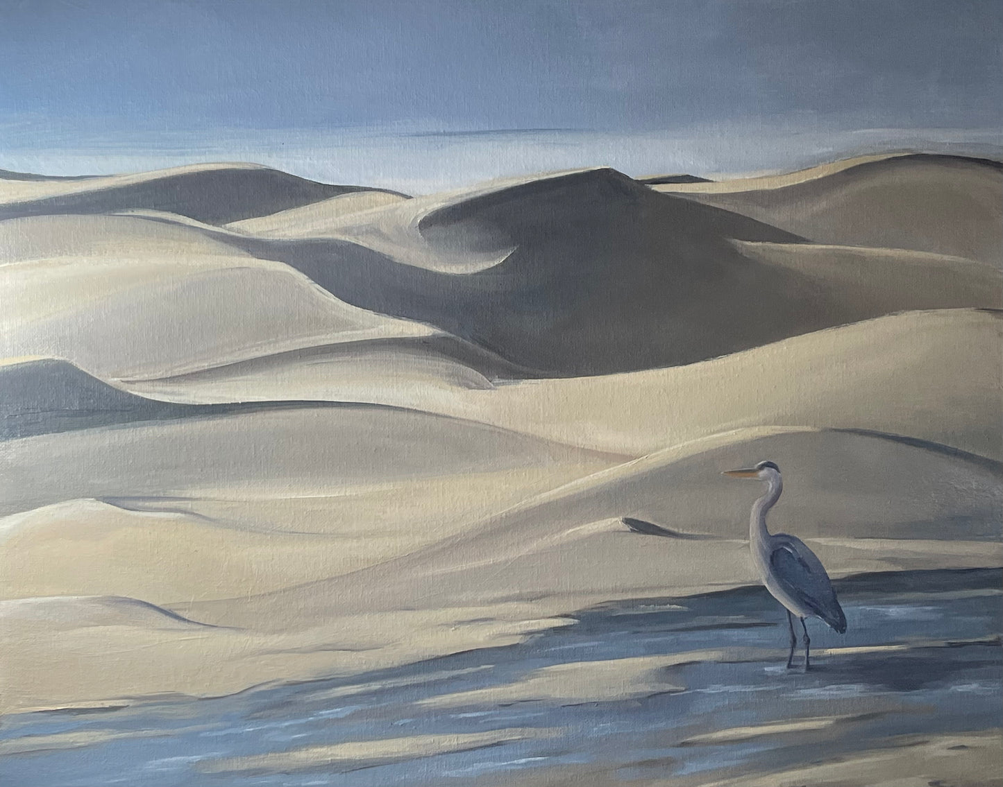 Dune Contemplation