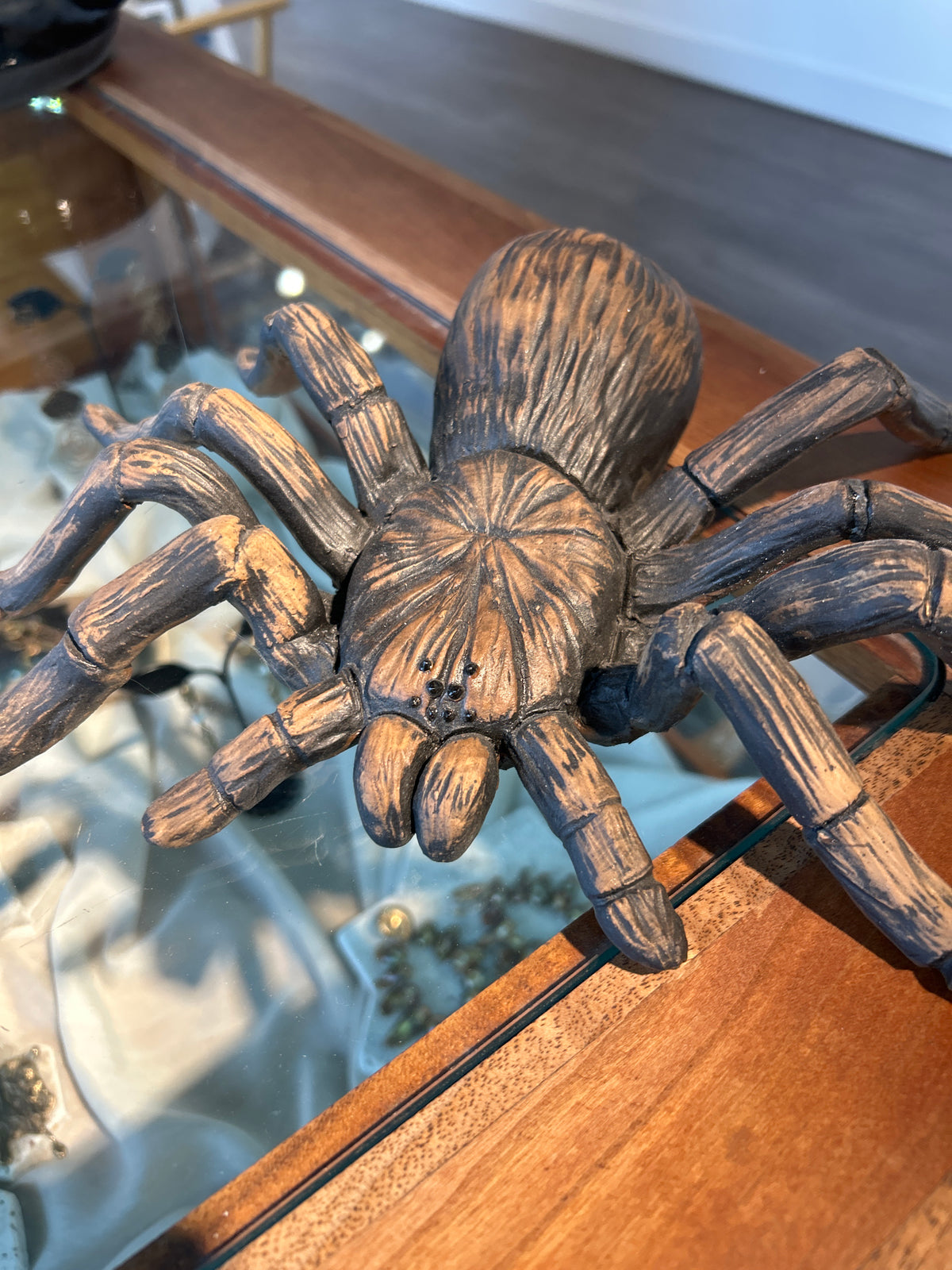 Goliath Bird Eater (Tarantula)