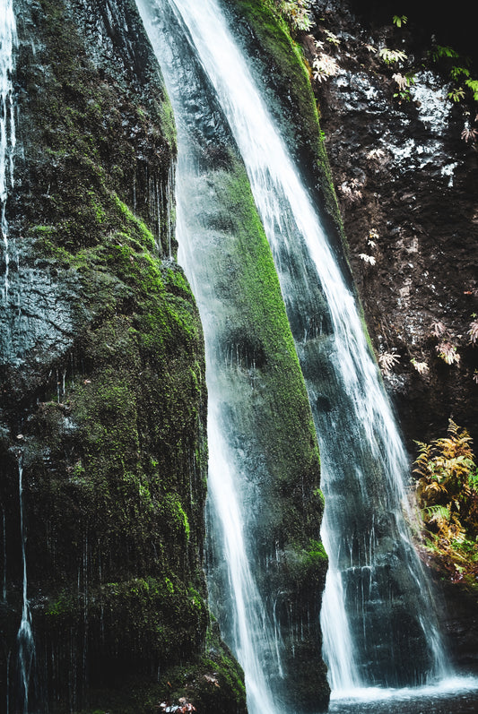 Guardians of the Cascade