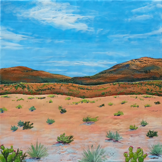 Desert Heat Archival Print - 12"x12"