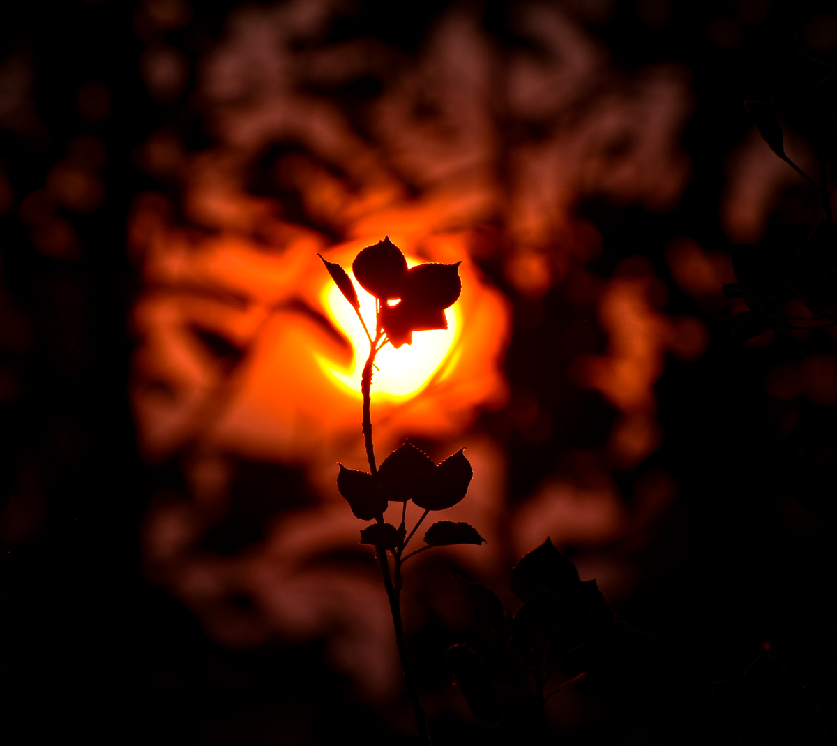 Under A Burning Sky | 14x17" Framed Photograph