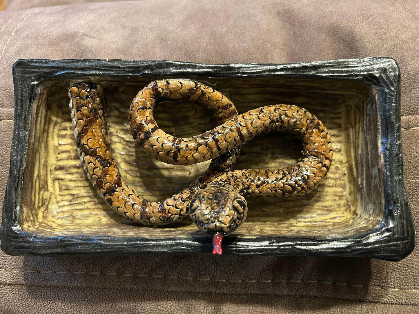 Virgin Islands Tree Boa