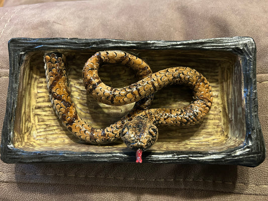 Virgin Islands Tree Boa