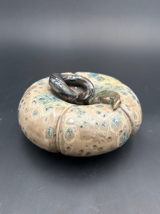 Medium Speckled Pumpkin