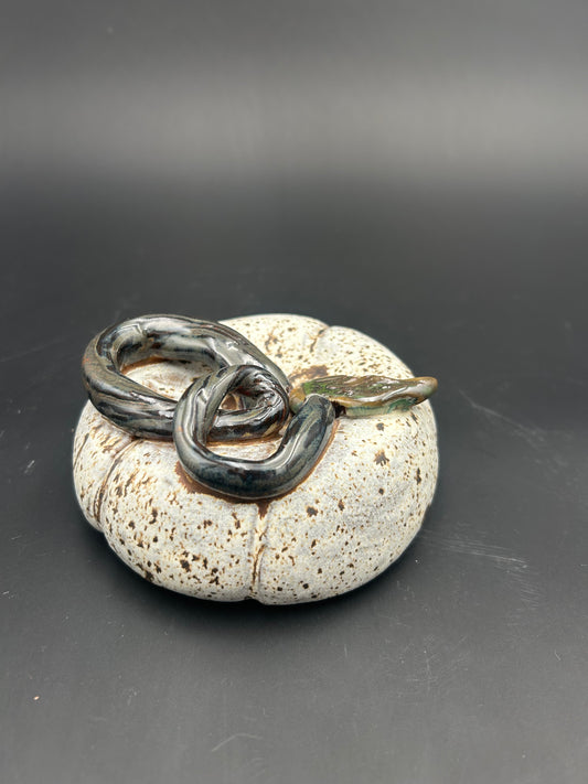 Small White Speckled Pumpkin