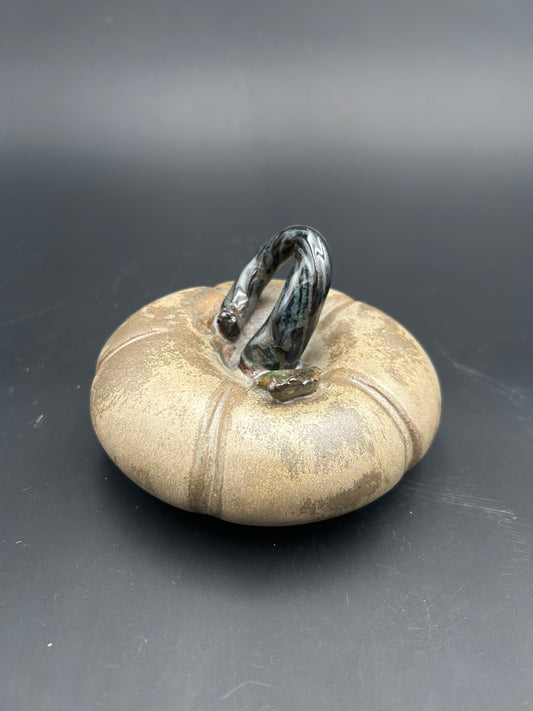 Small Leathery Pumpkin