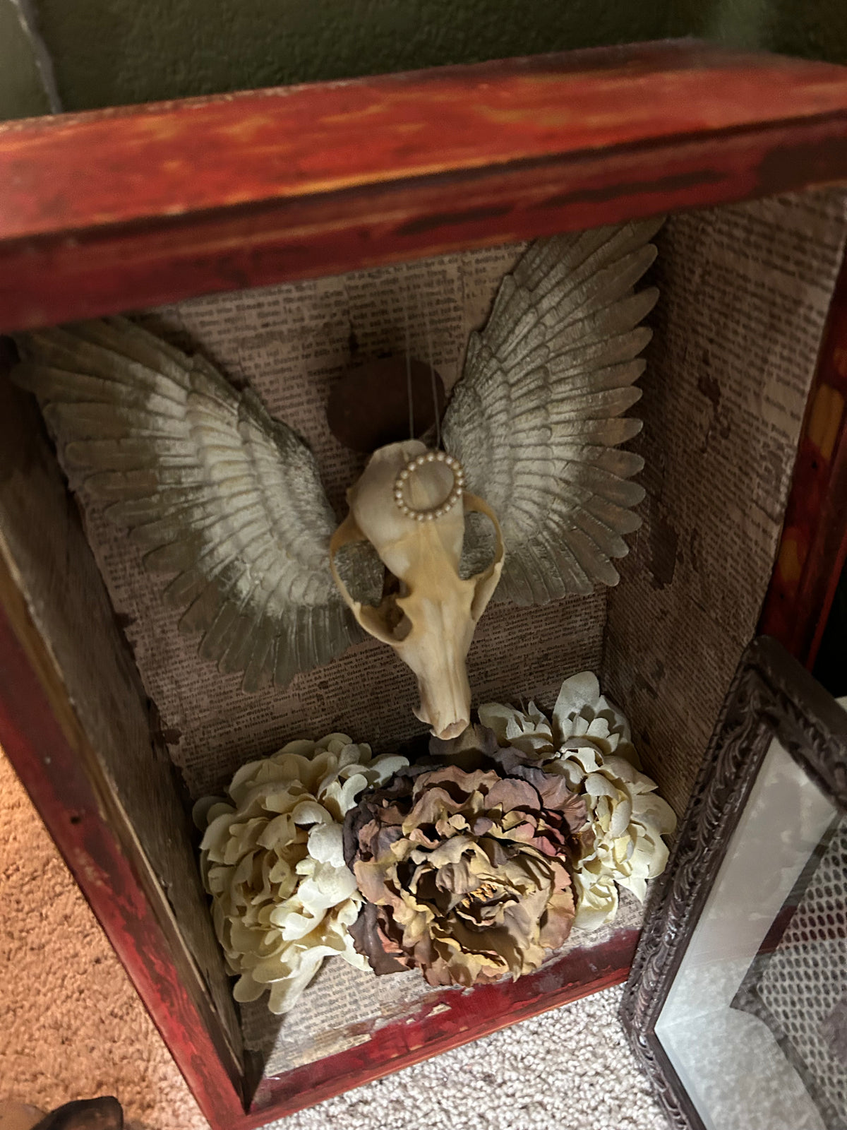 Vulpes Angelicus