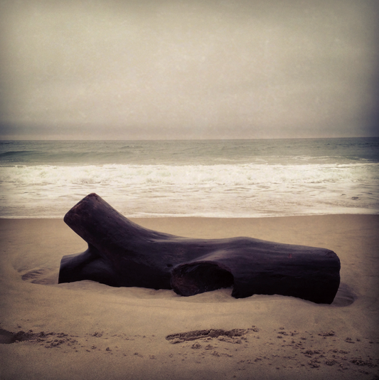 Driftwood