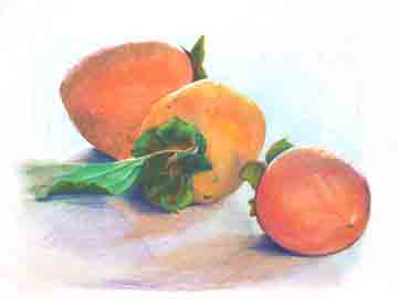 Persimmons