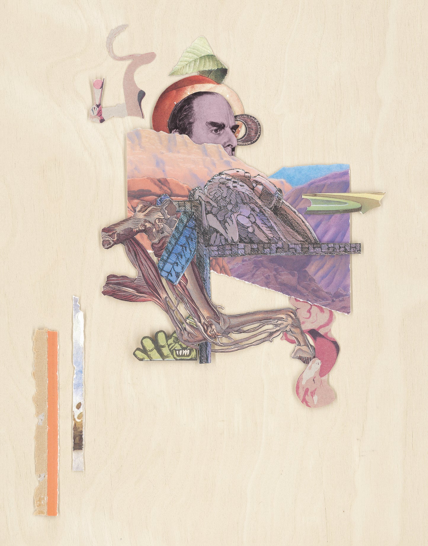 Placid Deformation #1 Ltd | 11×14" Collage