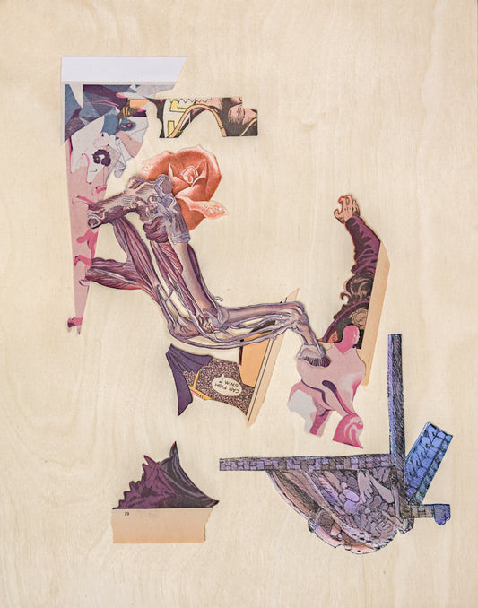 A chaotic arrangement of clippings in a palette of dusty purples, pinks, oranges, and yellows on a cradled wood panel. Some of the few recognizable objects include a dying rose, an anatomical illustration of the musculature of a horse's leg, and a reaching arm.