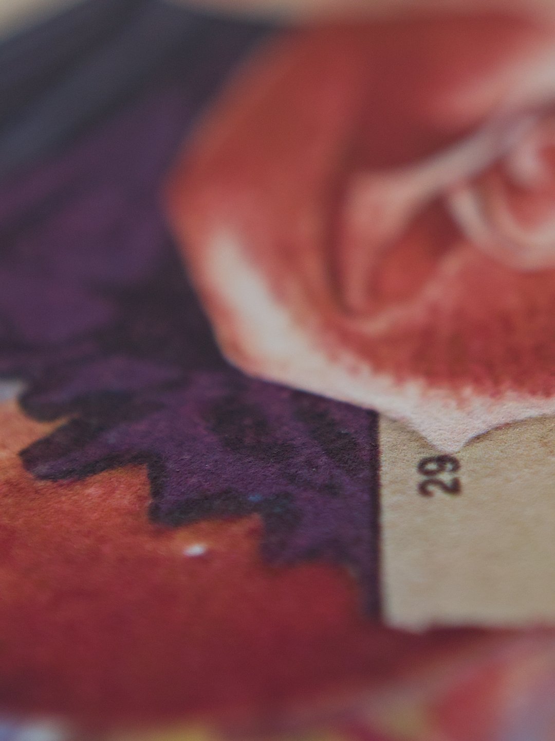 A macro closeup showing the paper texture on the print.