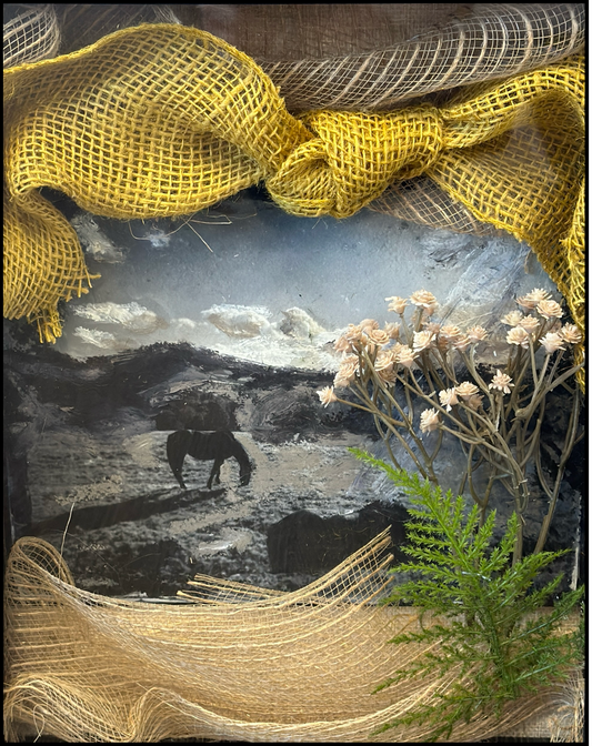 Wicklow Horse Shadow Box