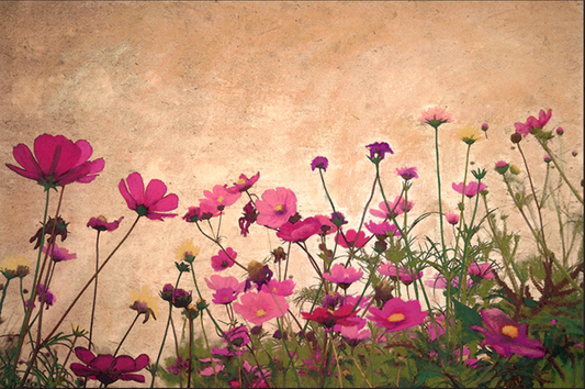 Cosmos I