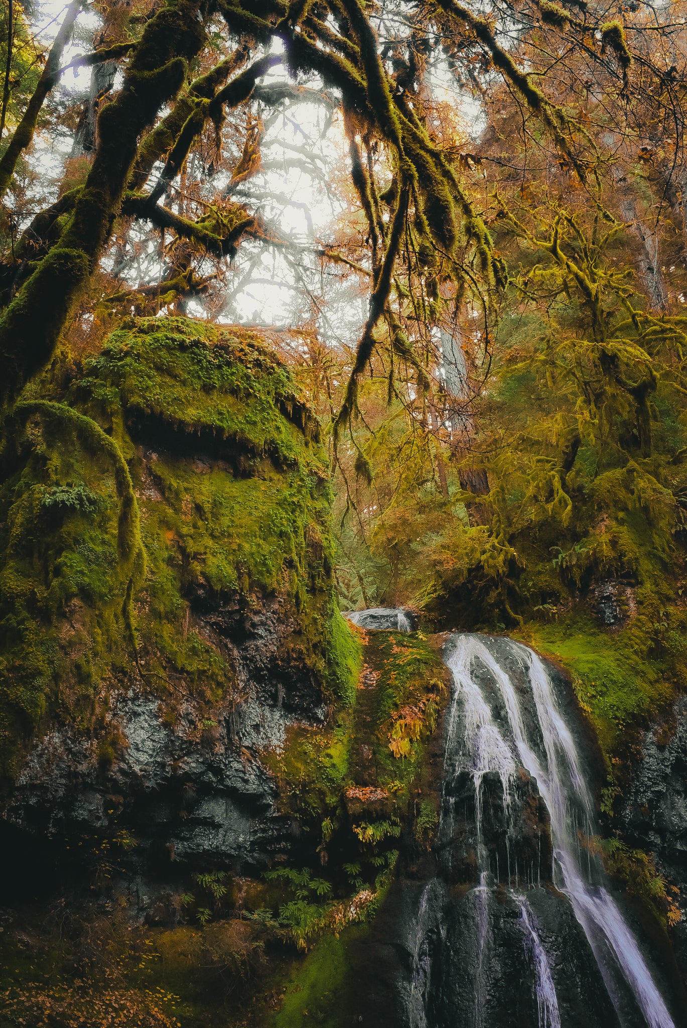 Ancestral Exhale | 11x14" Photograph