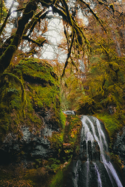 Ancestral Exhale | 11x14" Photograph